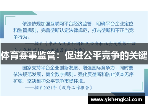 体育赛事监管：促进公平竞争的关键