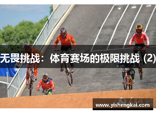 无畏挑战：体育赛场的极限挑战 (2)