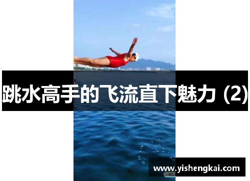 跳水高手的飞流直下魅力 (2)