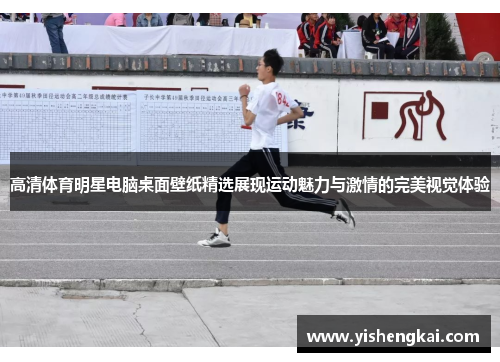 高清体育明星电脑桌面壁纸精选展现运动魅力与激情的完美视觉体验